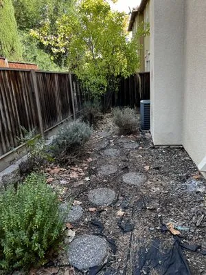 BioGreen Landscape Logo