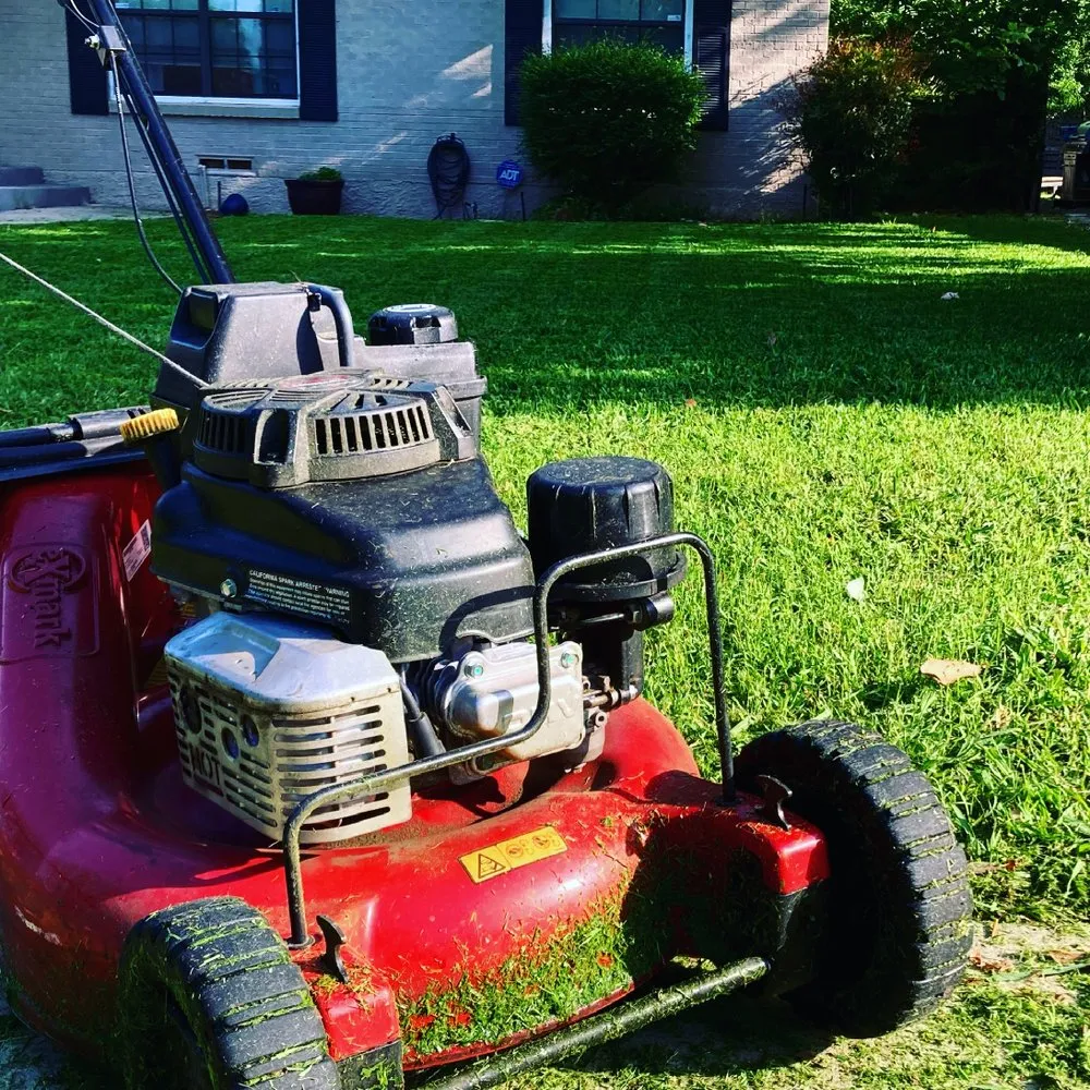 Trusted yard maintenance for year-round maintenance across Grand Prairie, TX - BioGreen Landscaping