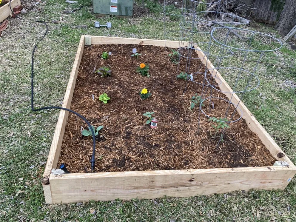 Local landscape design in Grand Prairie, TX - BioGreen Landscaping