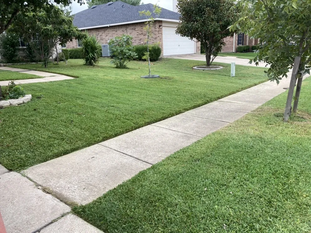 Top-rated landscape installation experts serving Grand Prairie, TX - BioGreen Landscaping