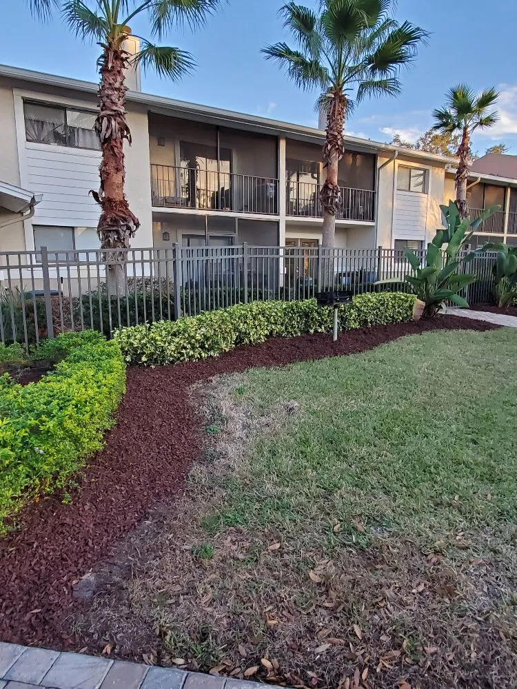 Affordable landscape installation in Winter Garden, FL by BioGreen Lawncare