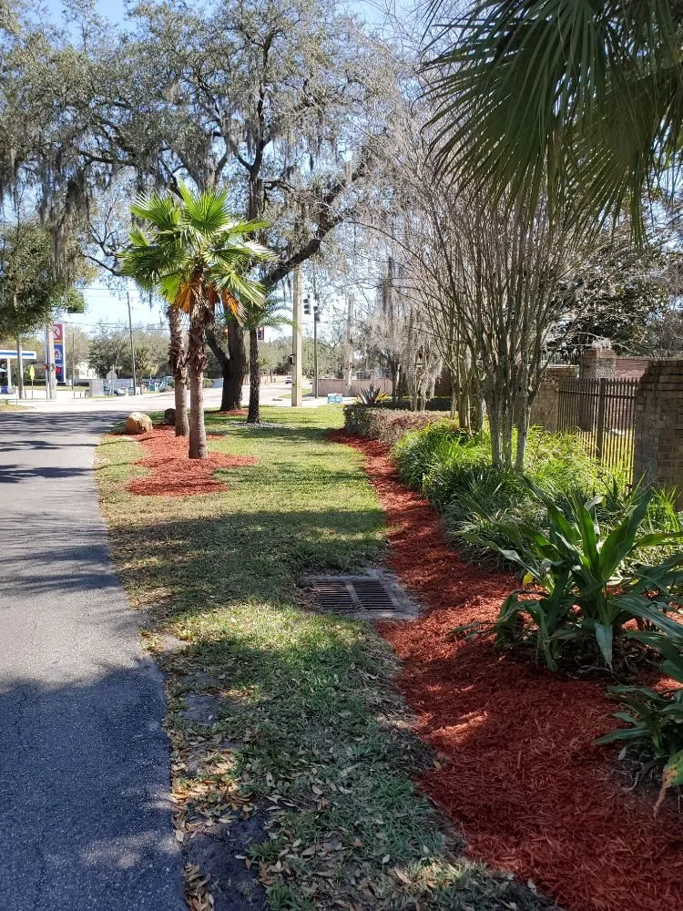 Top-rated landscape installation in Winter Garden, FL by BioGreen Lawncare