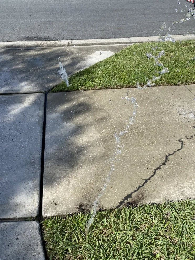 Trusted yard cleanup service for homes across Sanford, FL - Bioland Landscaping