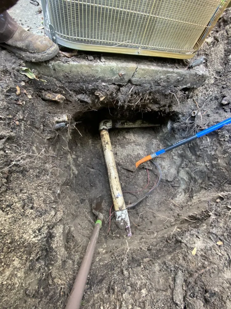 Expert lawn care service in Sanford, FL - Bioland Landscaping