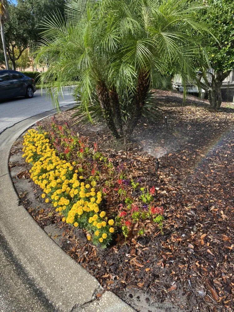 Professional yard maintenance in Sanford, FL - Bioland Landscaping