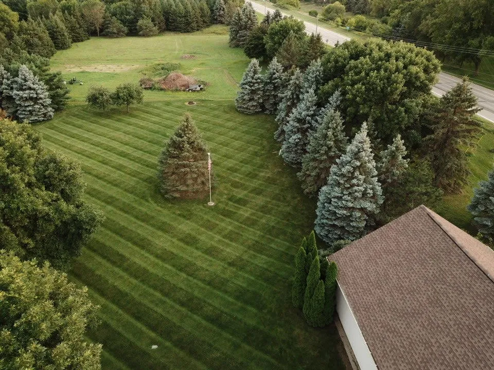 Top-rated lawn care service near you across Newport, MN - BioLawn