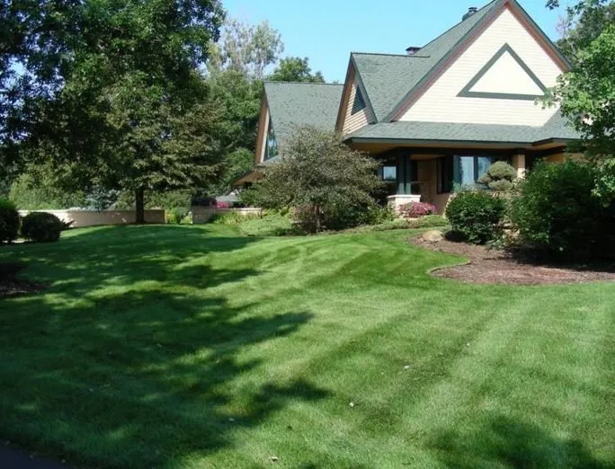 Expert landscape design experts serving Newport, MN - BioLawn