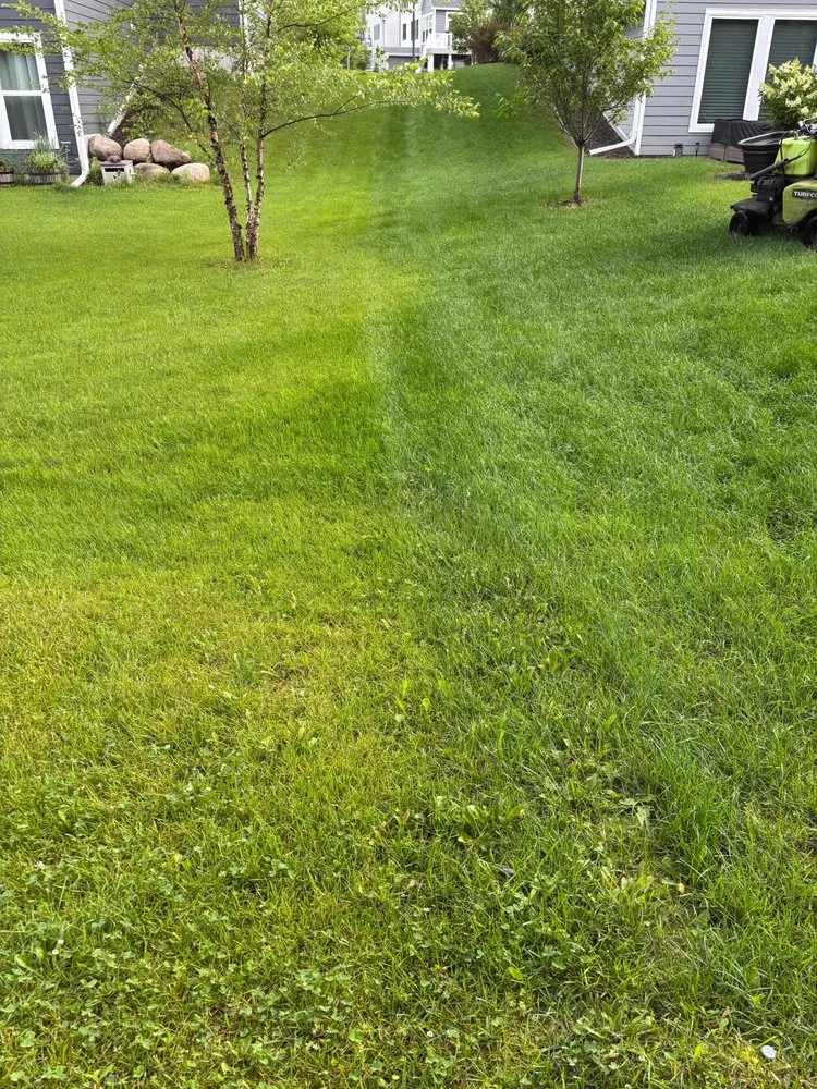 Reliable yard cleanup service in Newport, MN by BioLawn