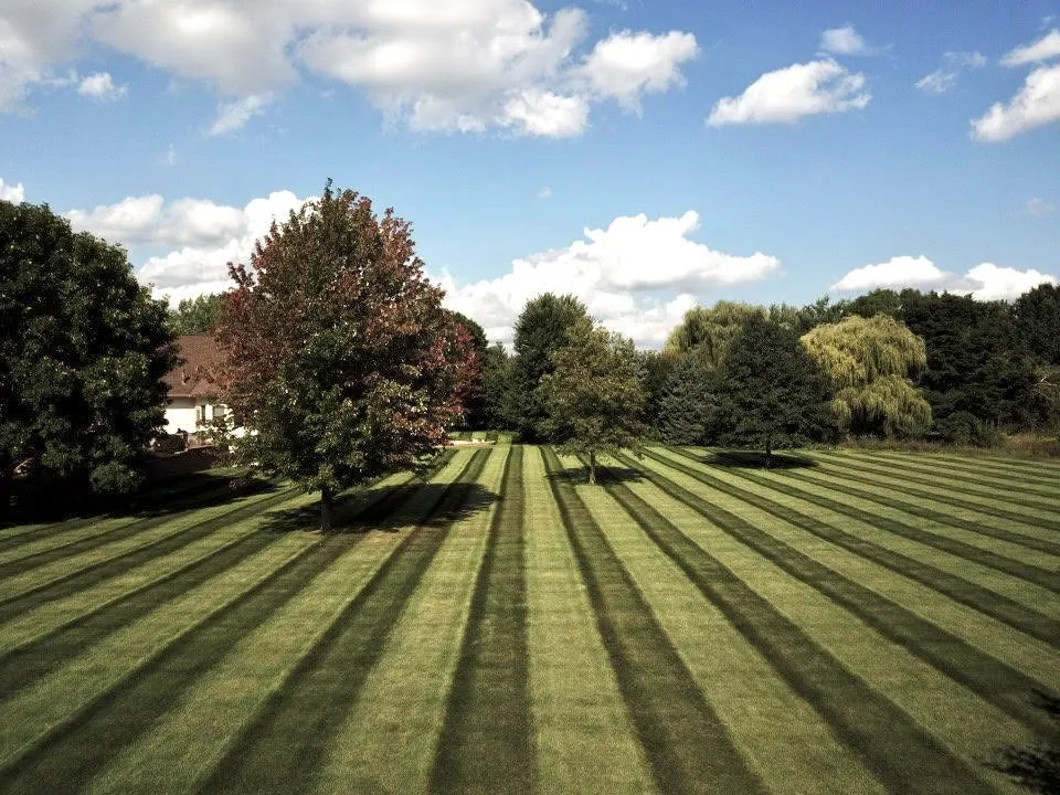 Custom landscape installation in Newport, MN by BioLawn