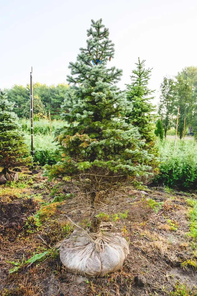 Custom lawn care service experts serving New Egypt, NJ - Biome Ground and Water