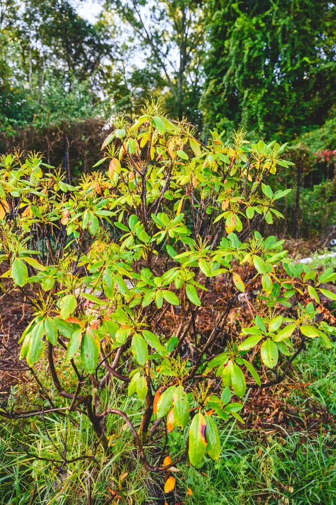 Affordable lawn care service with custom design in New Egypt, NJ by Biome Ground and Water