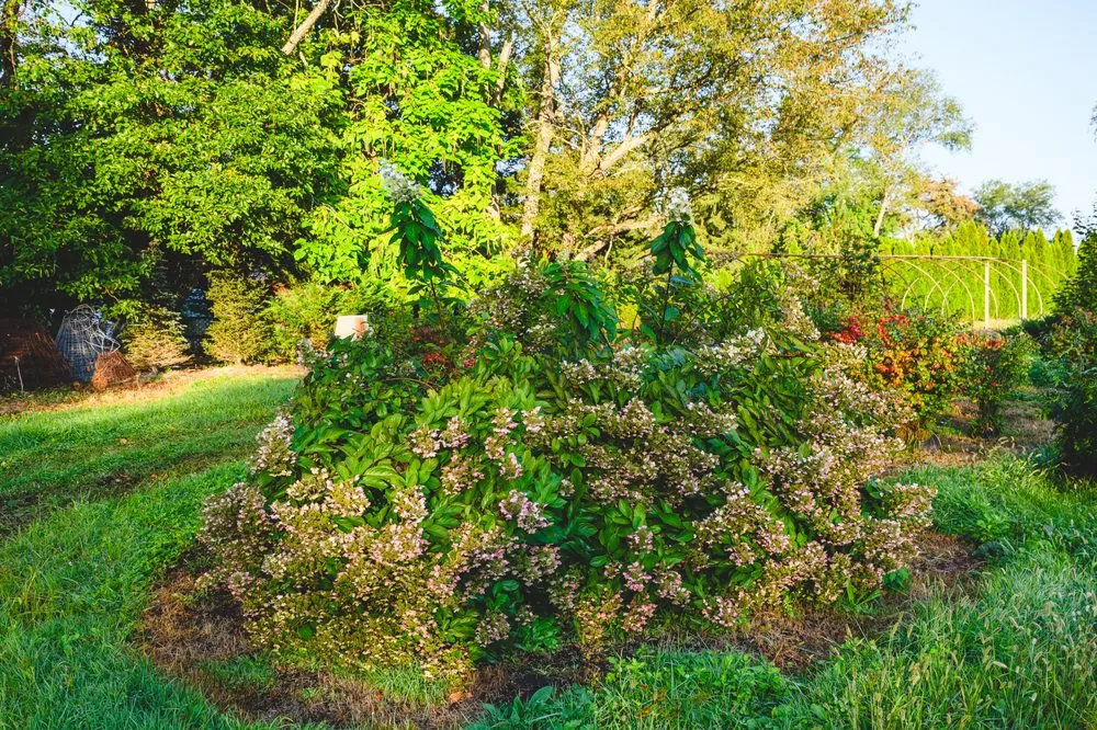 Reliable outdoor landscaping for beautiful yards in New Egypt, NJ by Biome Ground and Water