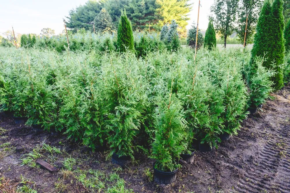 Trusted landscape design in New Egypt, NJ by Biome Ground and Water