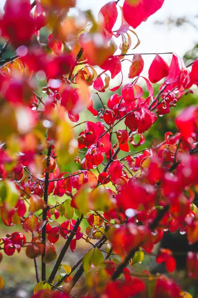 Expert landscaping services in New Egypt, NJ - Biome Ground and Water