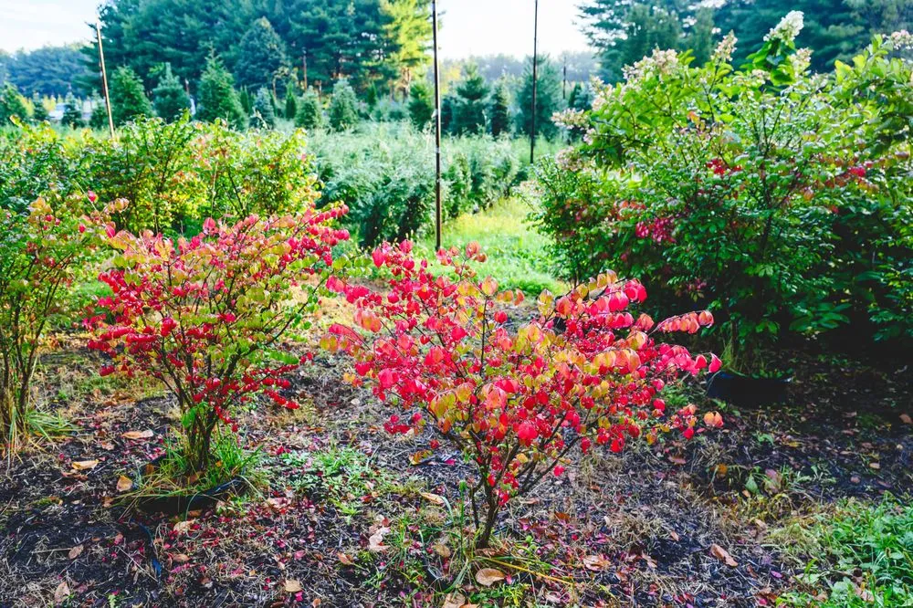 Custom lawn care service in New Egypt, NJ - Biome Ground and Water