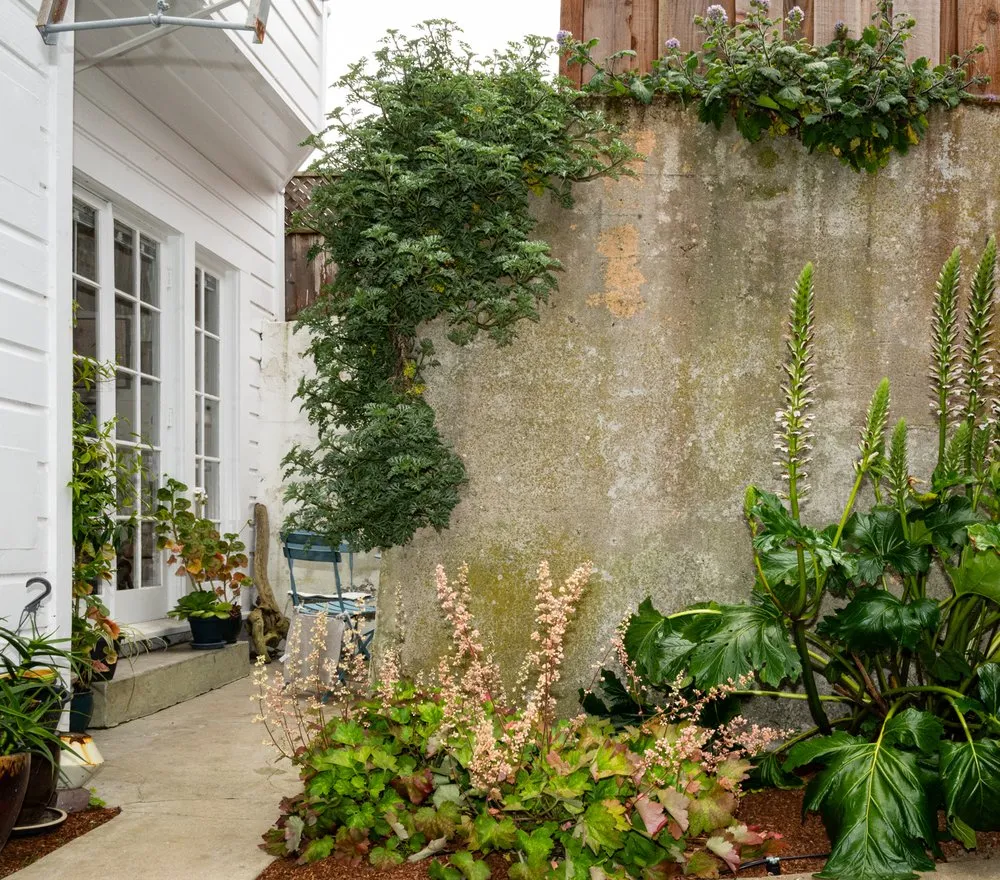 Expert garden landscaping experts serving San Francisco, CA - BiomeMechanics