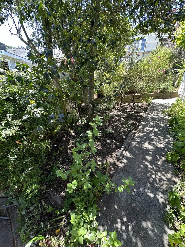 Affordable outdoor landscaping in San Francisco, CA by BiomeMechanics