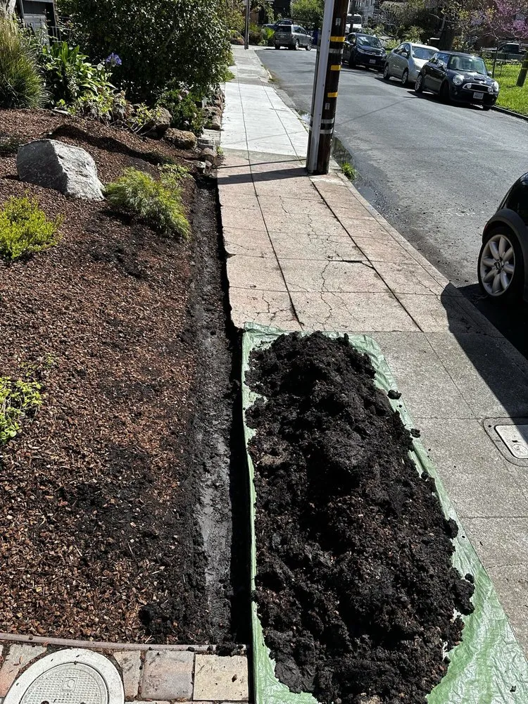 Reliable lawn mowing service experts serving San Francisco, CA - BiomeMechanics