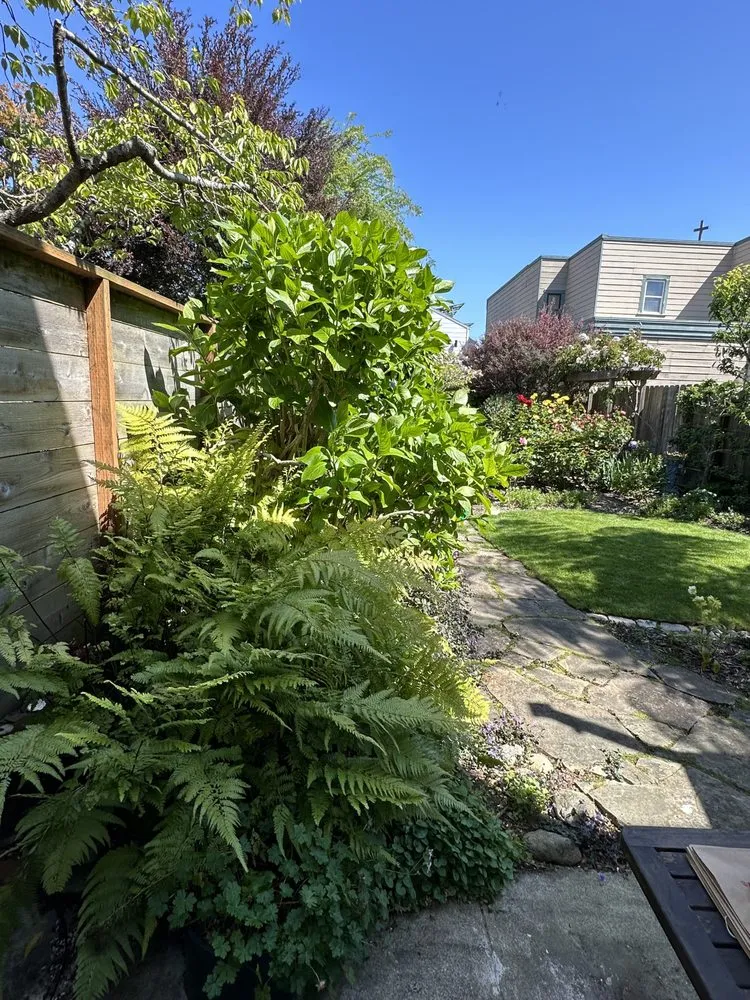Affordable residential landscaping for residential properties across San Francisco, CA - BiomeMechanics