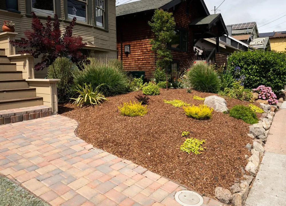 Top-rated outdoor landscaping in San Francisco, CA - BiomeMechanics