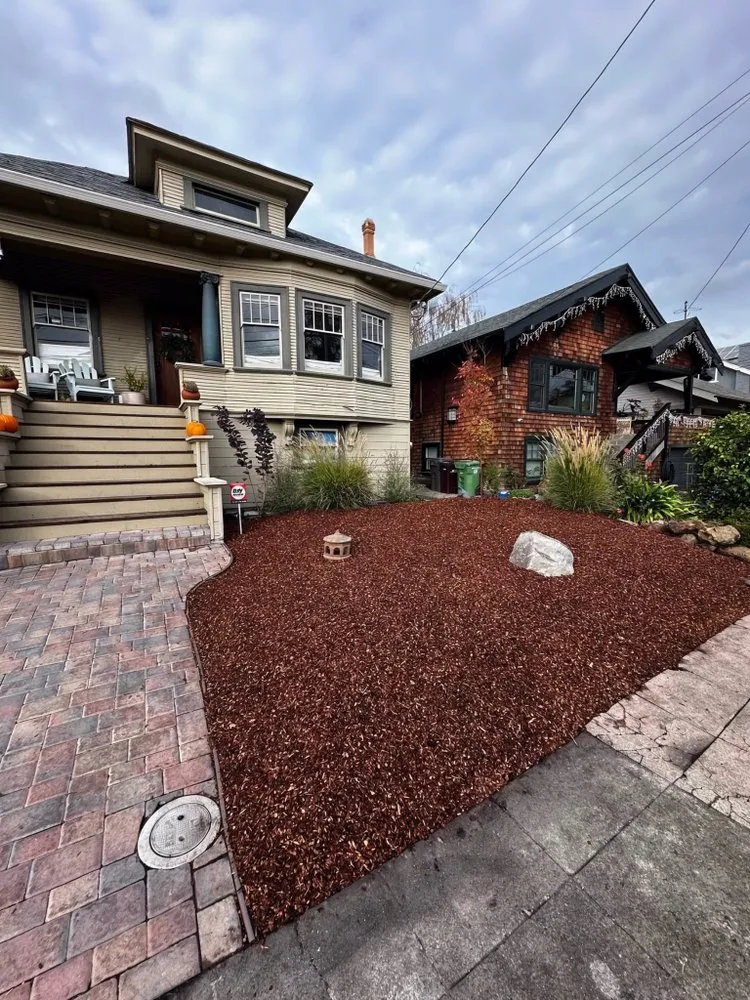 Reliable landscape design in San Francisco, CA - BiomeMechanics