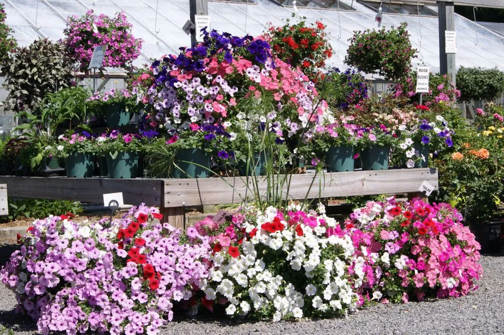 Professional residential landscaping experts serving Middlesex, NJ - Biondi's Florist & Greenhouses