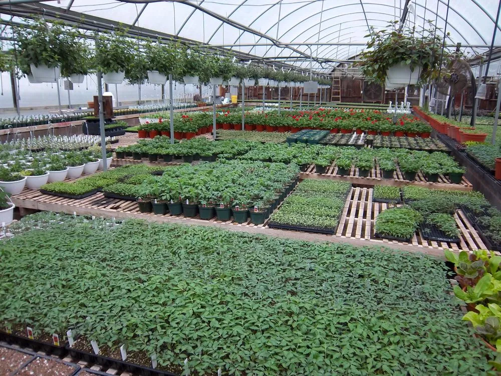 Reliable yard maintenance for homes in Middlesex, NJ by Biondi's Florist & Greenhouses