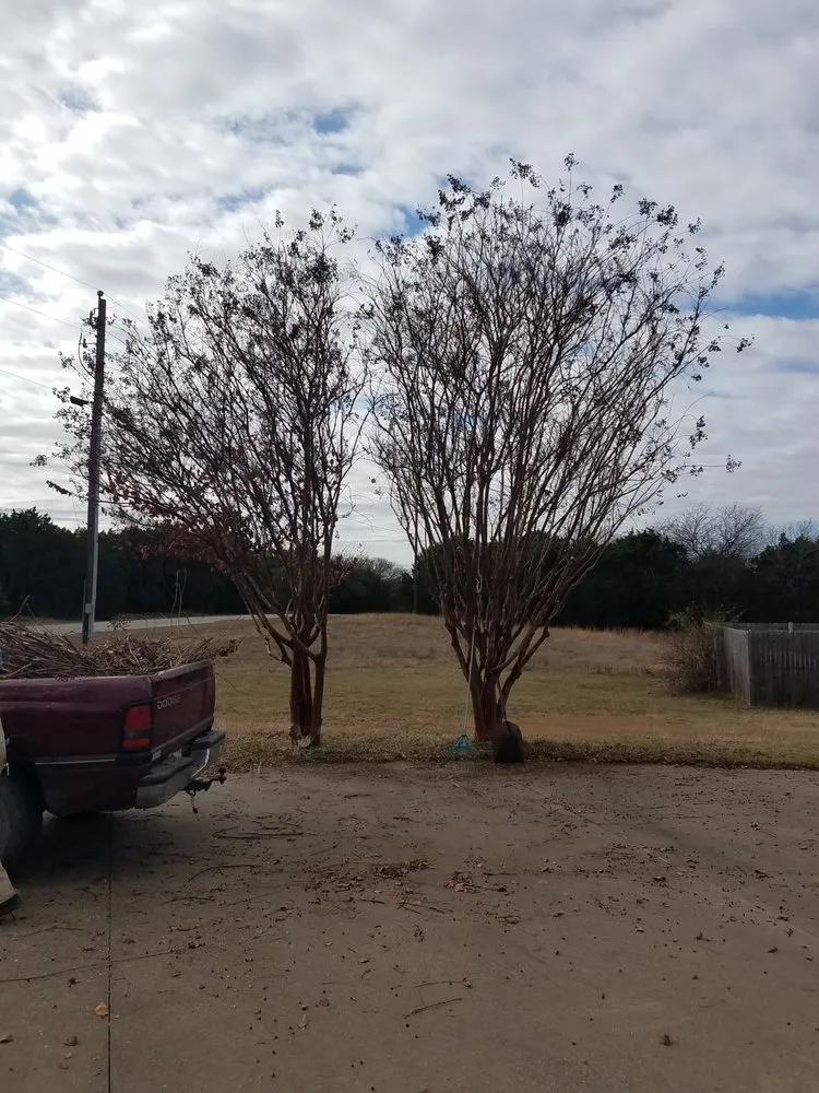 Affordable landscape installation experts serving Whitney, TX - Bioscapes Landscaping