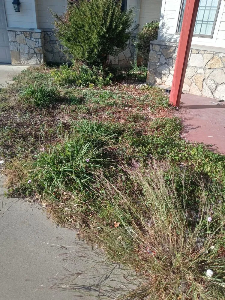 Expert lawn mowing service for beautiful yards in Whitney, TX by Bioscapes Landscaping