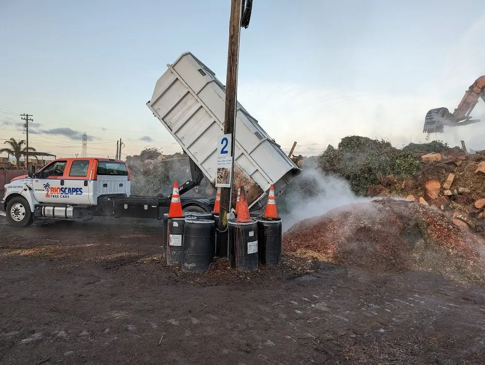 Professional yard maintenance experts serving Union City, CA - BioScapes Treecare