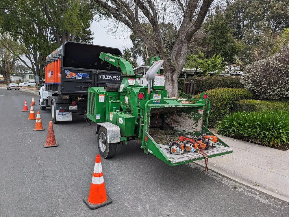 Affordable landscaping services for residential properties across Union City, CA - BioScapes Treecare