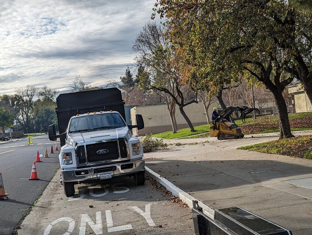 Top-rated residential landscaping in Union City, CA - BioScapes Treecare