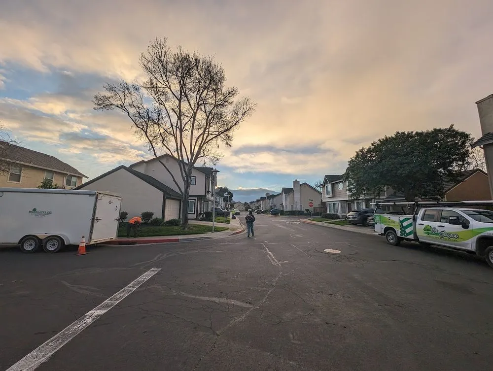 Reliable lawn mowing service in Union City, CA - BioScapes Treecare