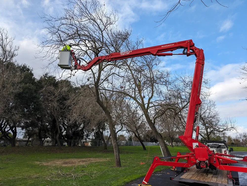 Expert lawn mowing service in Union City, CA by BioScapes Treecare