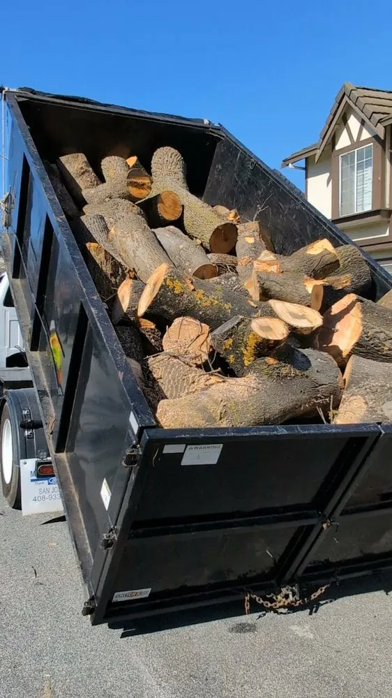 Top-rated outdoor landscaping in Union City, CA - BioScapes Treecare