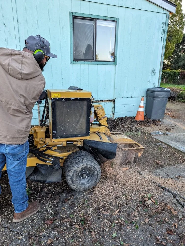 Affordable landscape installation with custom design across Union City, CA - BioScapes Treecare