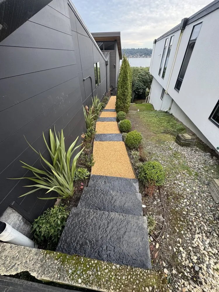 Expert yard cleanup service in Des Moines, WA - Biosphere