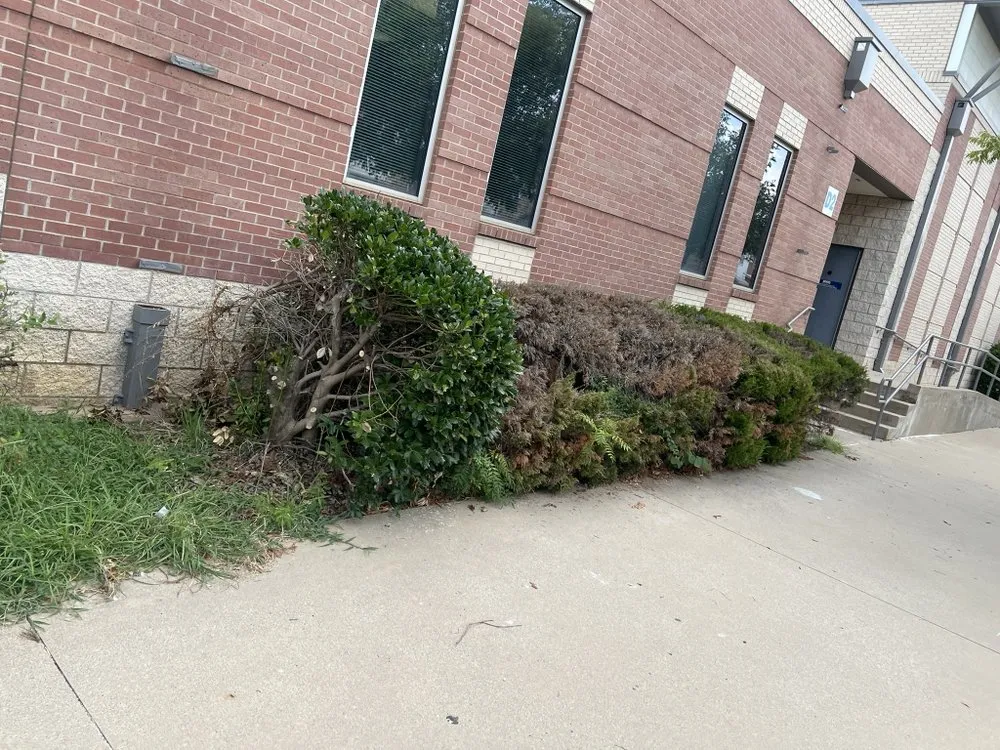 Professional landscape design experts serving Fort Worth, TX - BioTurf Solutions