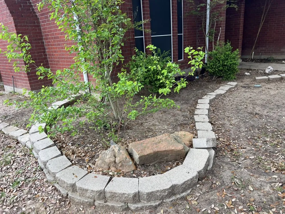 Top-rated lawn care service with custom design in Fort Worth, TX by BioTurf Solutions