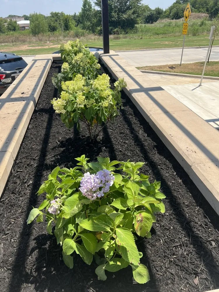 Trusted yard cleanup service in Fort Worth, TX - BioTurf Solutions