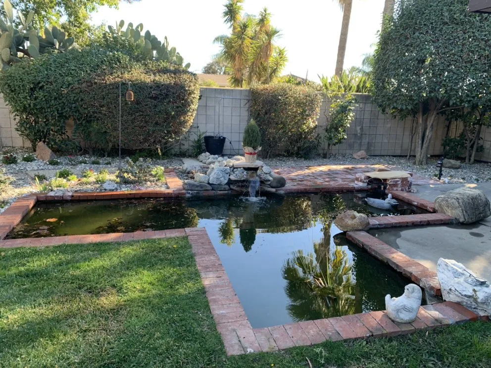 Affordable lawn care service in Rancho Cucamonga, CA by BIP Waterscapes