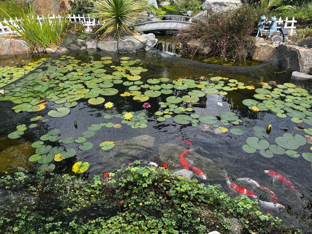 Top-rated garden landscaping for outdoor upgrades in Rancho Cucamonga, CA by BIP Waterscapes