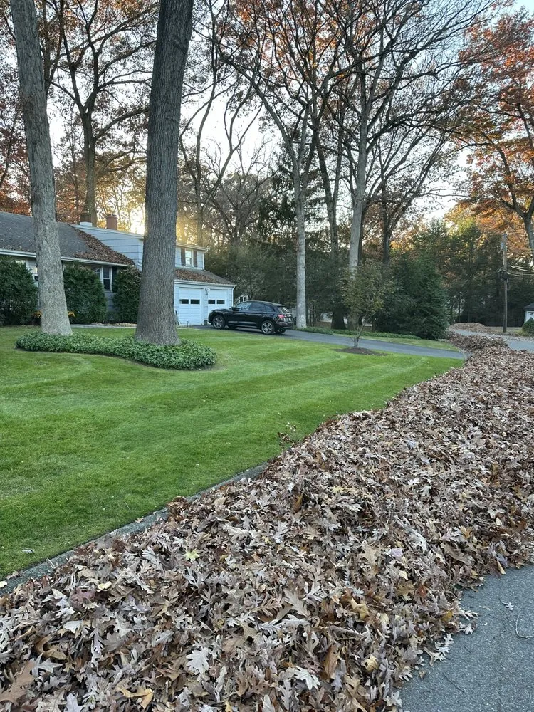 Local lawn mowing service experts serving Demarest, NJ - Birch Landscape & Design