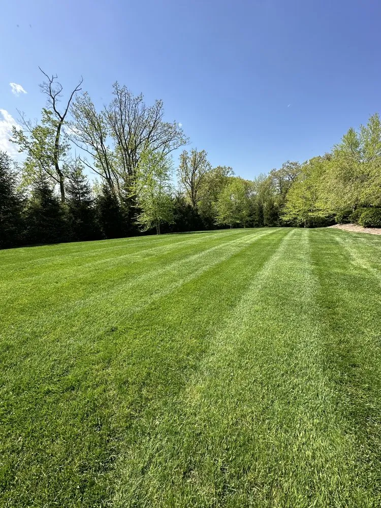 Professional residential landscaping in Demarest, NJ - Birch Landscape & Design