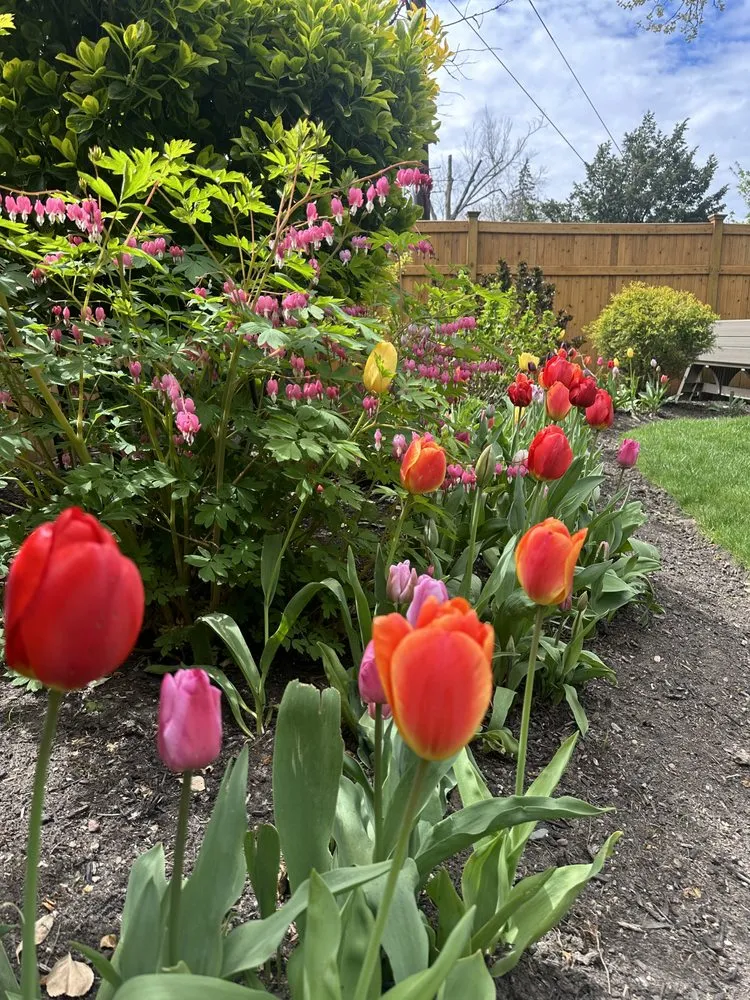 Trusted lawn care service in Demarest, NJ by Birch Landscape & Design