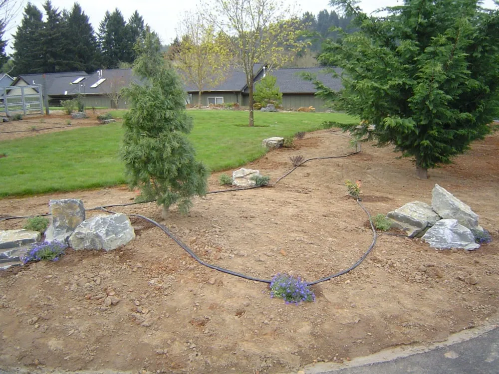 Custom yard cleanup service in Salem, OR - Birch Landscape