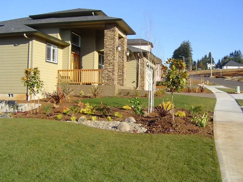 Local lawn care service experts serving Salem, OR - Birch Landscape