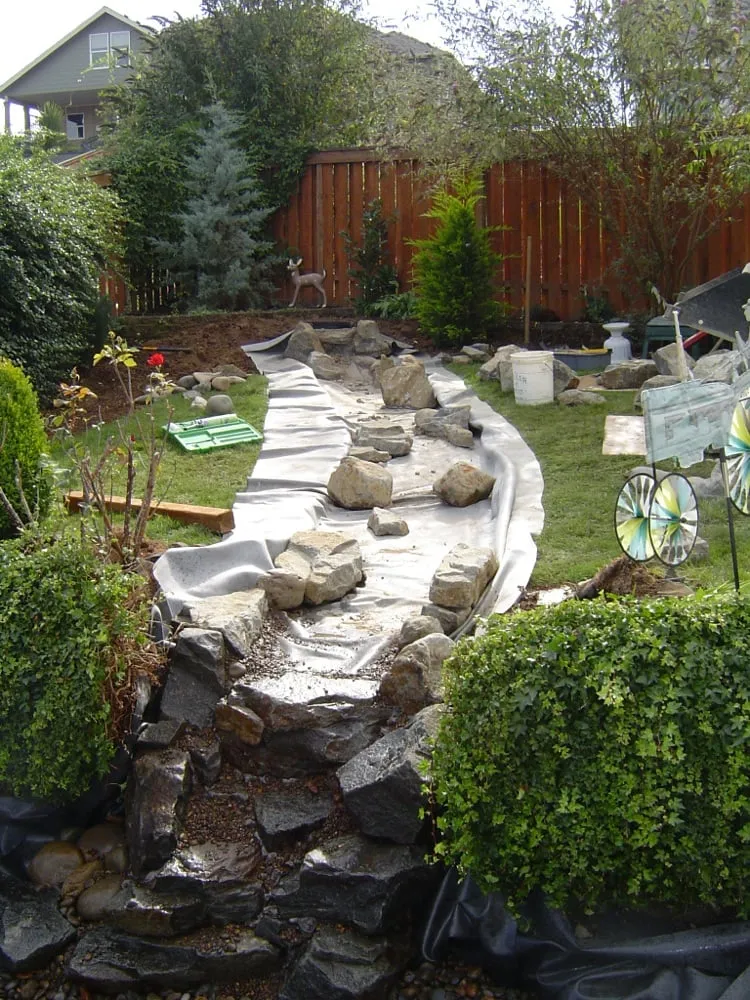 Local yard cleanup service in Salem, OR - Birch Landscape