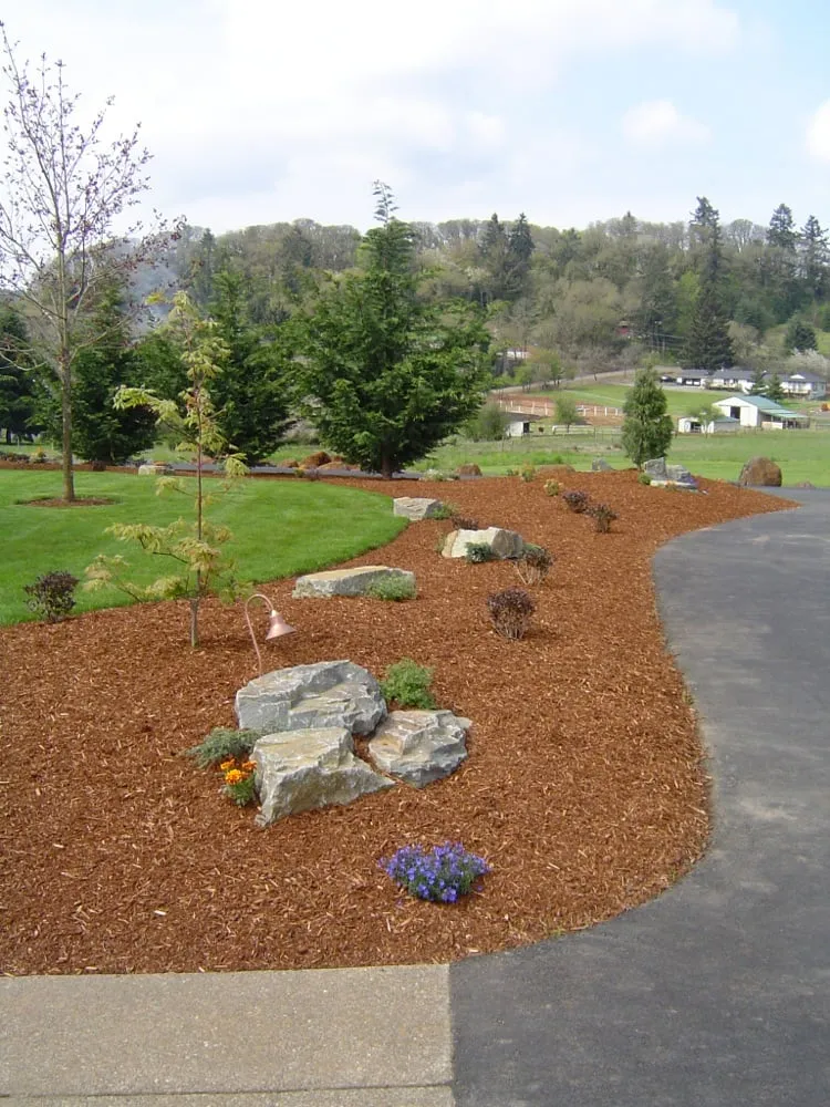 Local yard maintenance in Salem, OR by Birch Landscape