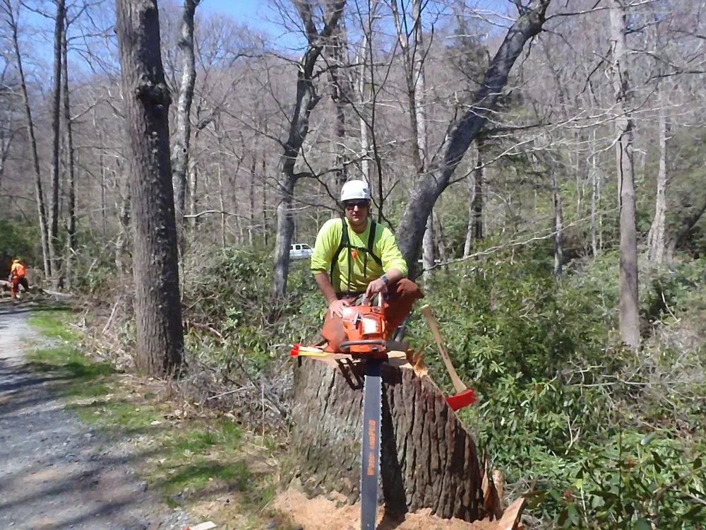 Top-rated residential landscaping for year-round maintenance in Brunswick, ME by Birch Tree Arborist